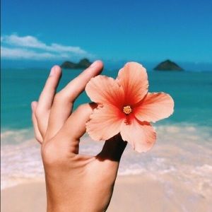 ISO surf gear and clothes!!